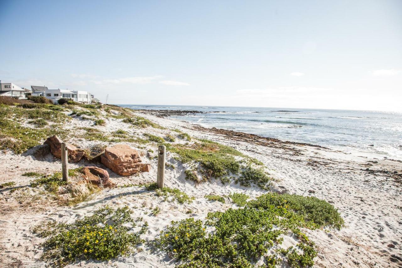Dreamtime Studio Kommetjie Kültér fotó